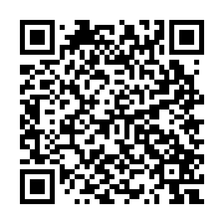 QR code for plate LSE 307