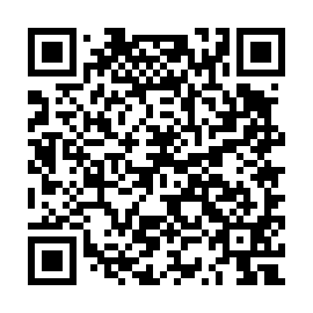 QR code for plate LSE 491