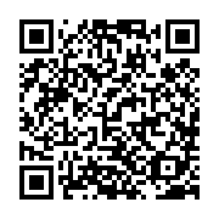 QR code for plate LSH 489