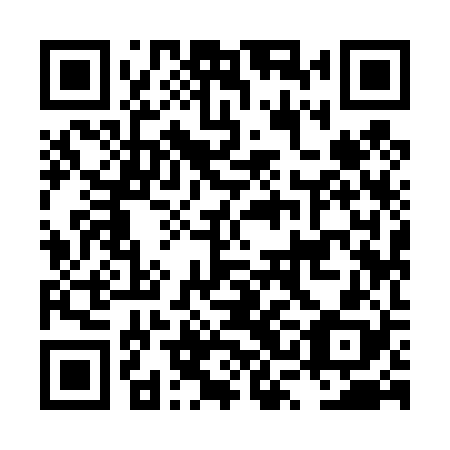QR code for LSI 428