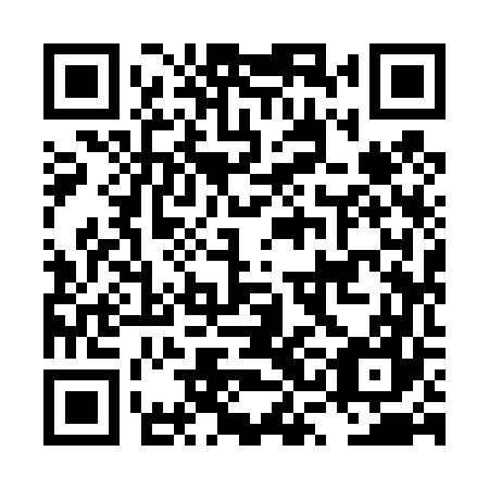 QR code for LSI 467