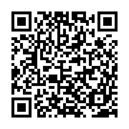 QR code for LSI 957