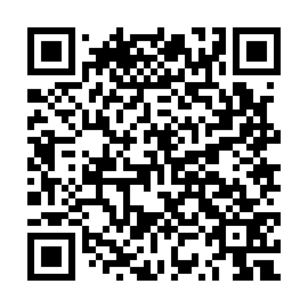 QR code for LSJ 173