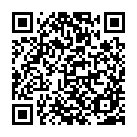 QR code for plate LSK 387