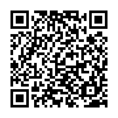 QR code for plate LSK 594