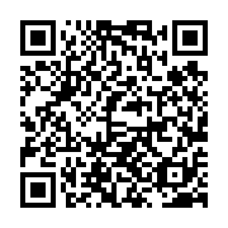 QR code for plate LSL 611