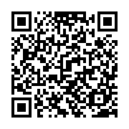 QR code for plate LSN 845