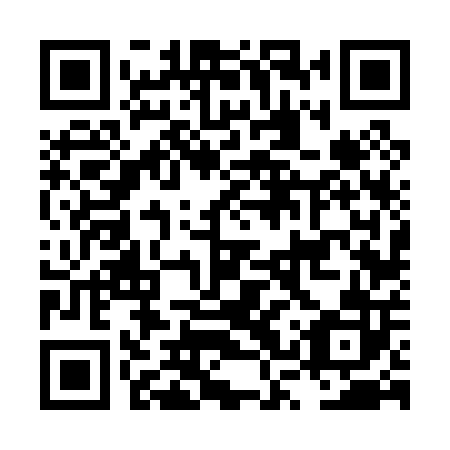QR code for LSV002