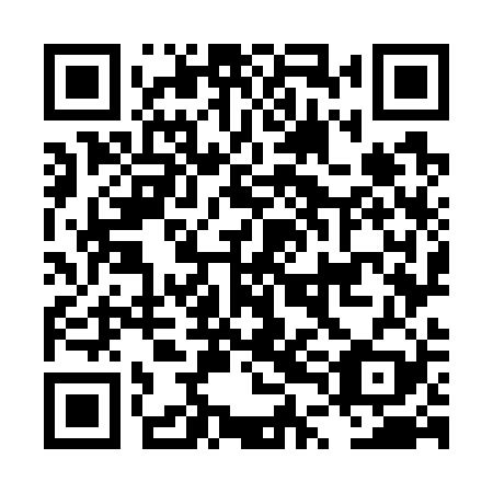 QR code for LTO 729