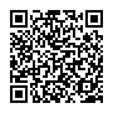 QR code for plate LUA 311