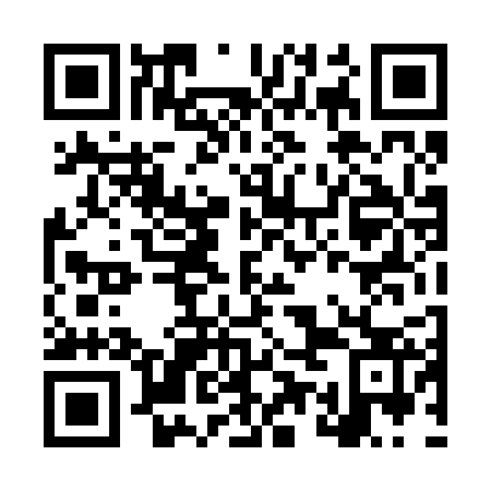 QR code for plate LUD 223
