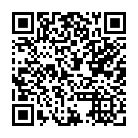 QR code for LUI 339