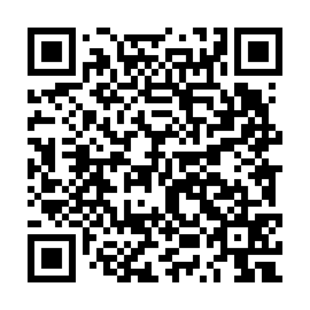 QR code for plate LUL 675
