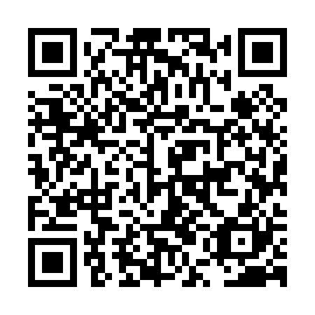 QR code for plate LUM 020