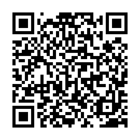 QR code for LUN 593