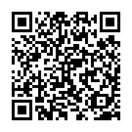 QR code for LUR699