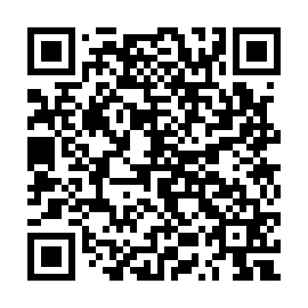 QR code for plate LUS 161
