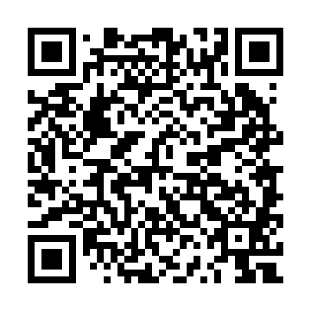 QR code for plate LVD 281