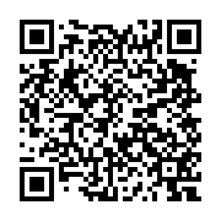 QR code for LVG451