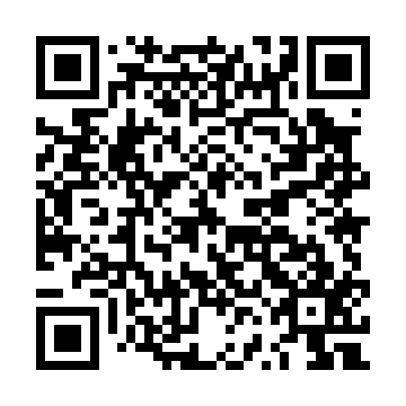 QR code for plate LVM 017