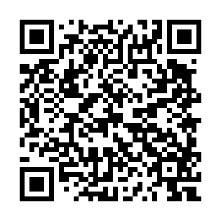 QR code for plate LVM 486