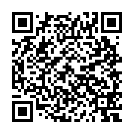 QR code for plate LVO 398