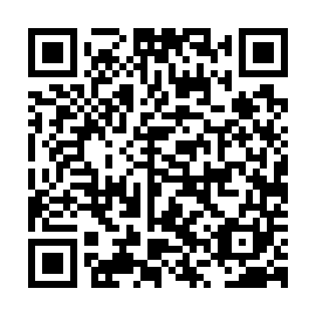 QR code for plate LVT 741