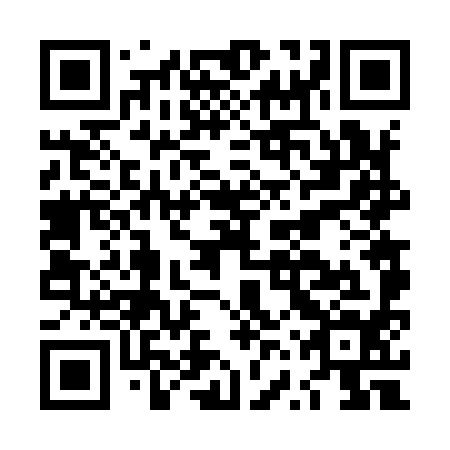 QR code for LVV 994