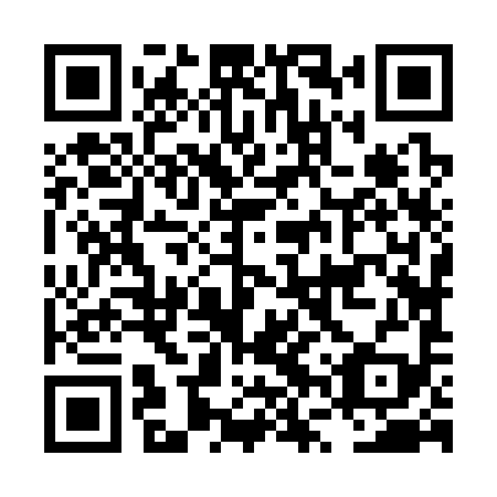 QR code for LVZ399
