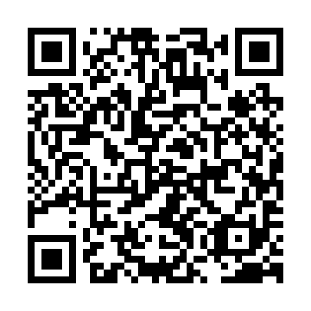QR code for LWE 291