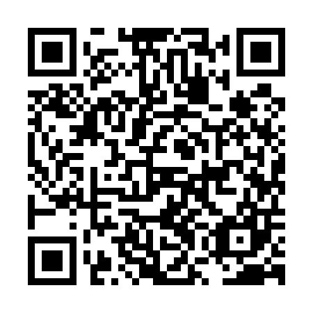 QR code for plate LWI 507