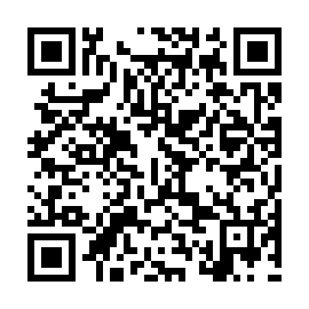 QR code for LWO 336
