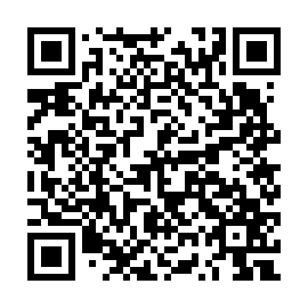 QR code for LWW 667