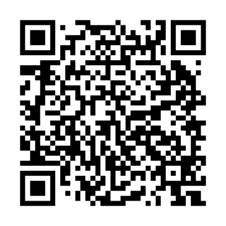 QR code for LWZ 299