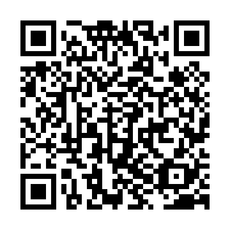 QR code for plate LXN 028