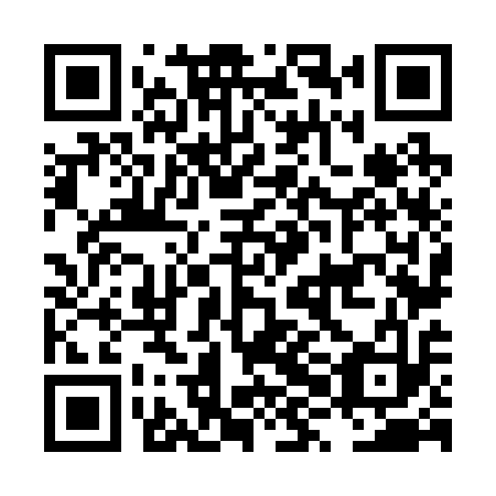 QR code for plate LXN 213
