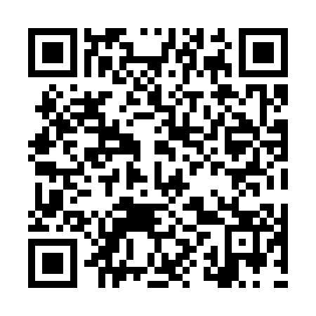 QR code for plate LXX 303