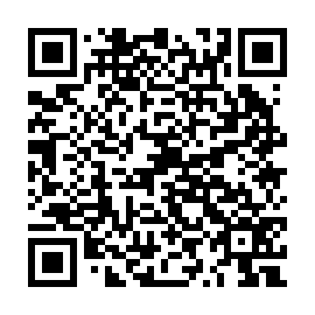 QR code for plate LYA 276