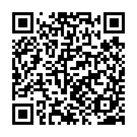QR code for plate LYC 641