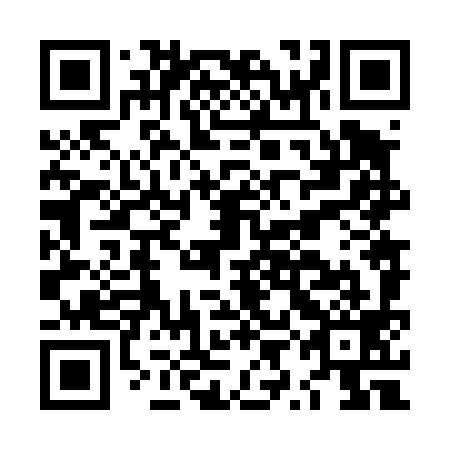 QR code for plate LYN 499