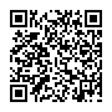 QR code for LYO 336