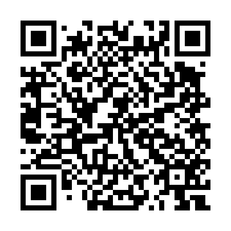 QR code for plate LYR 456