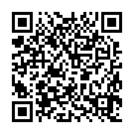 QR code for plate LYS 287