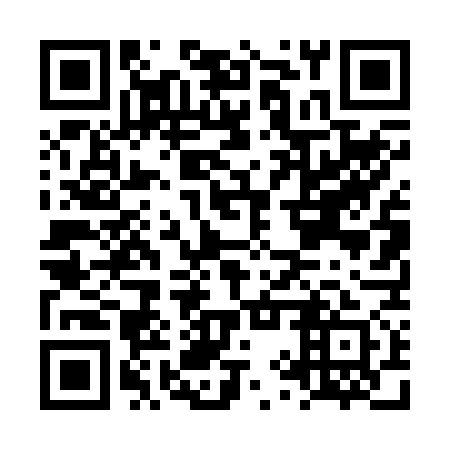 QR code for plate LYT 271