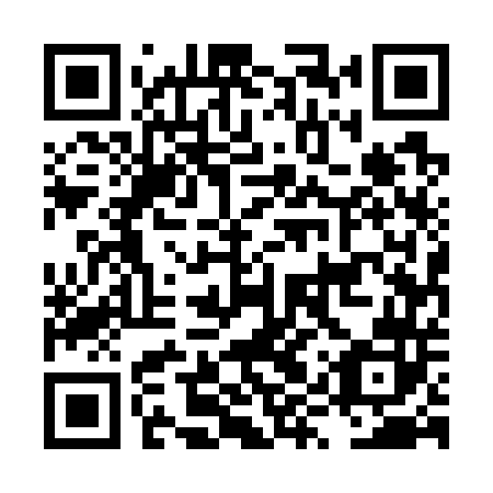 QR code for plate LYU 742