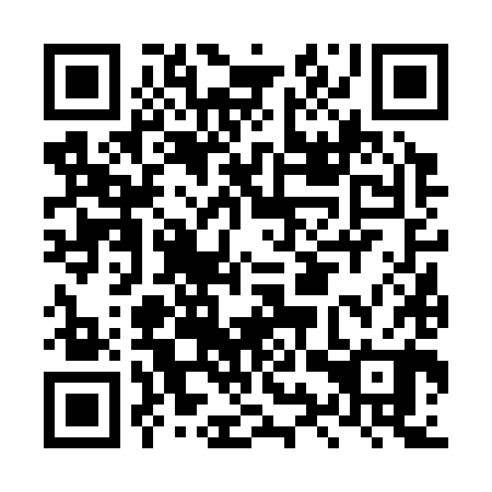 QR code for plate LYV 380