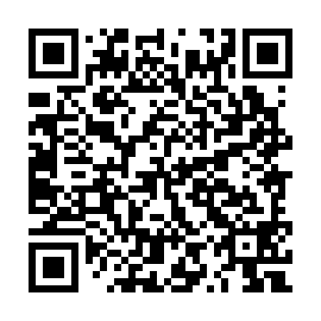 QR code for LYX 398