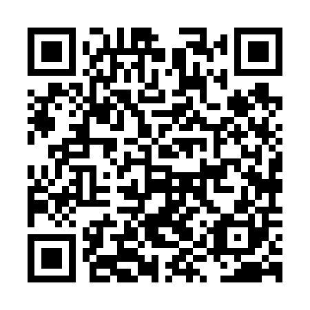 QR code for plate LYX 600