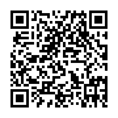 QR code for LYY 291