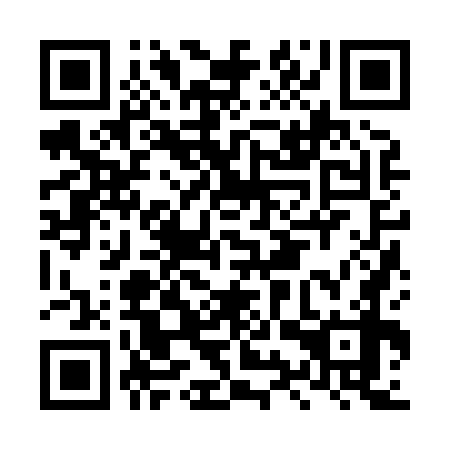 QR code for plate LYZ 878